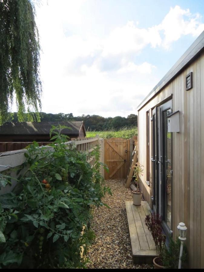 Unique Wooden Lodge With A View! London Exterior photo